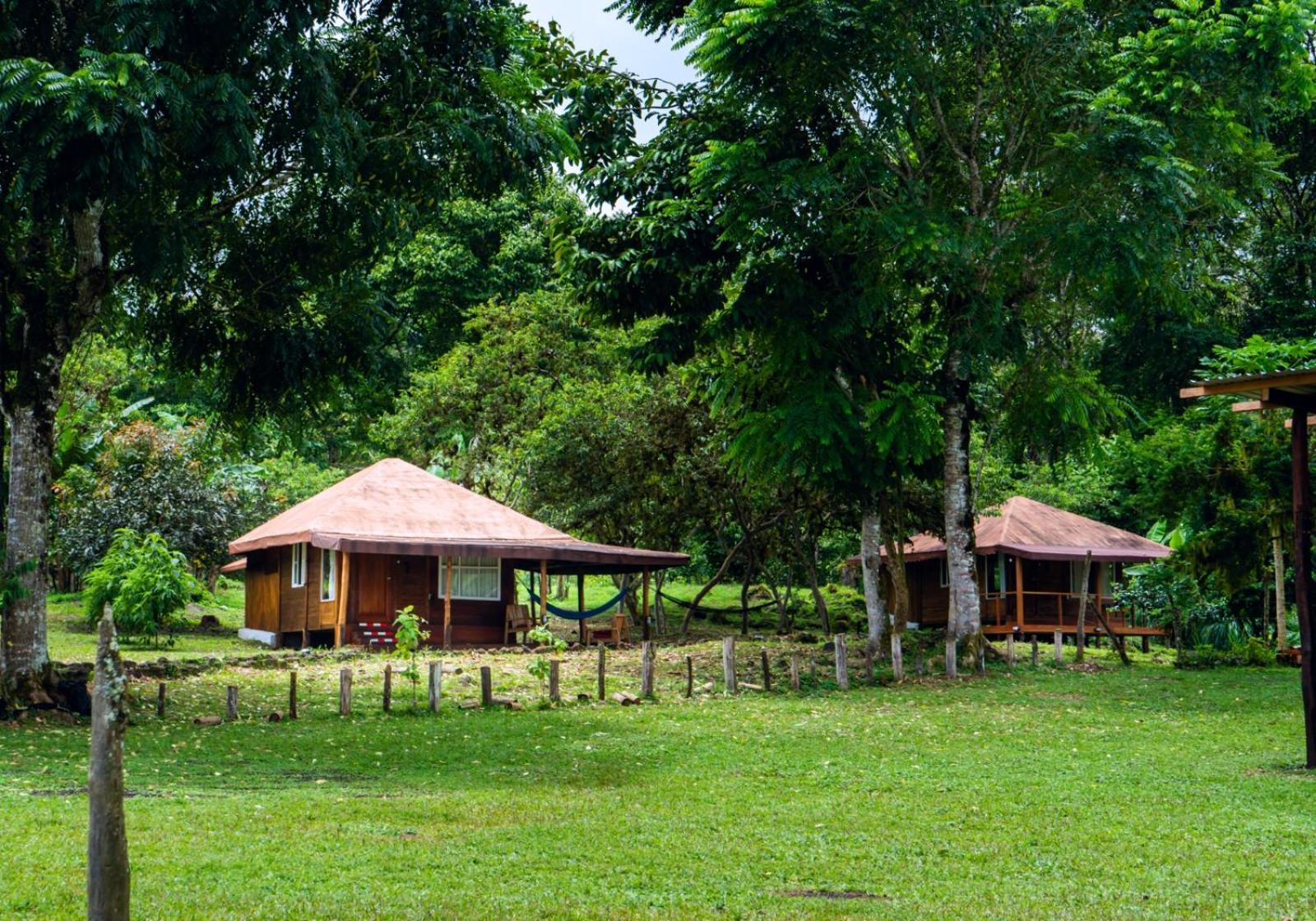 Galapagos Cabanas Eden Bellavista  Dış mekan fotoğraf