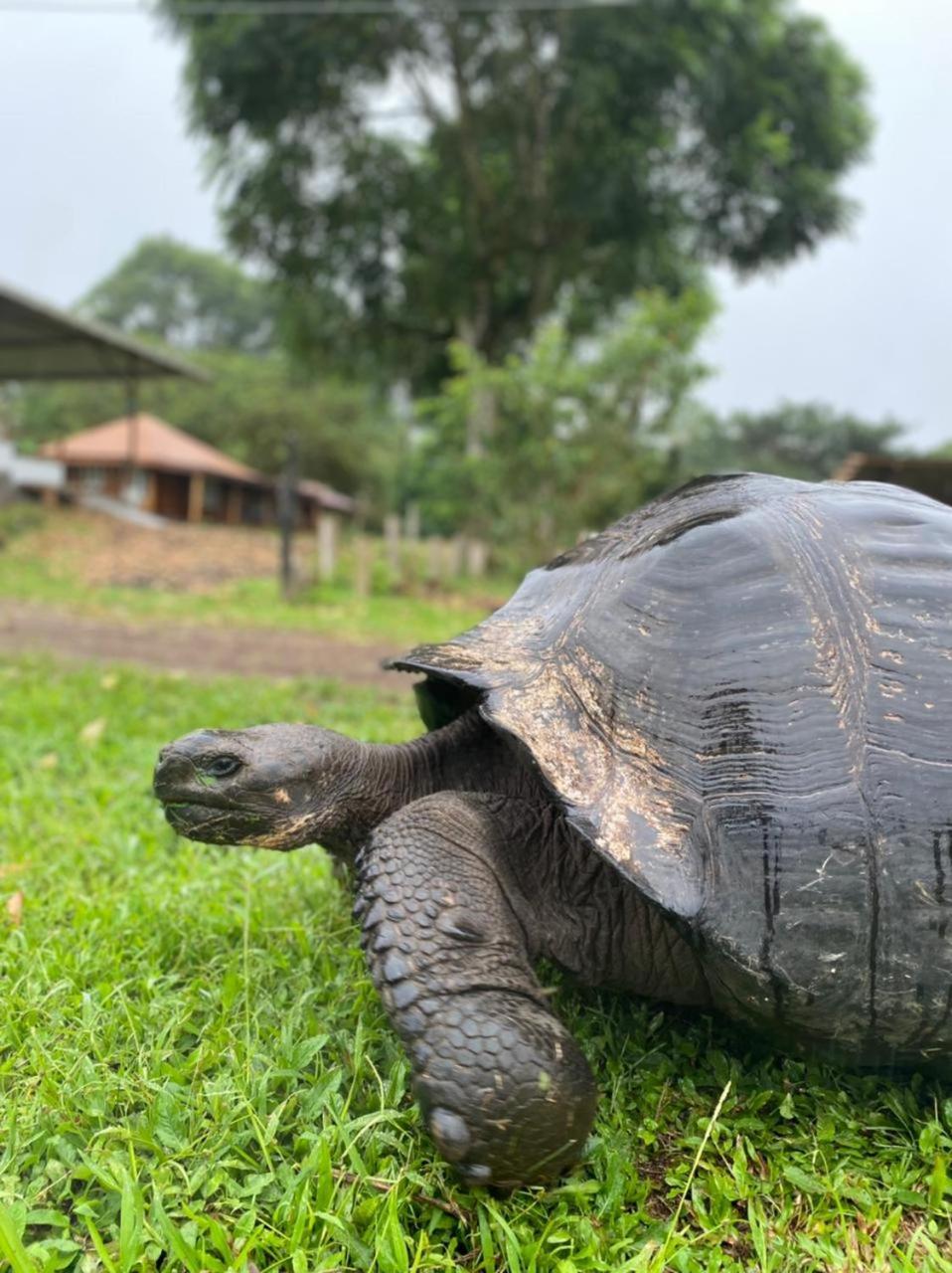 Galapagos Cabanas Eden Bellavista  Dış mekan fotoğraf