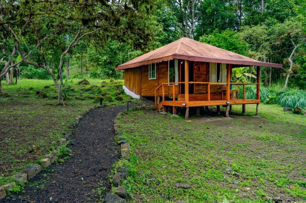 Galapagos Cabanas Eden Bellavista  Dış mekan fotoğraf