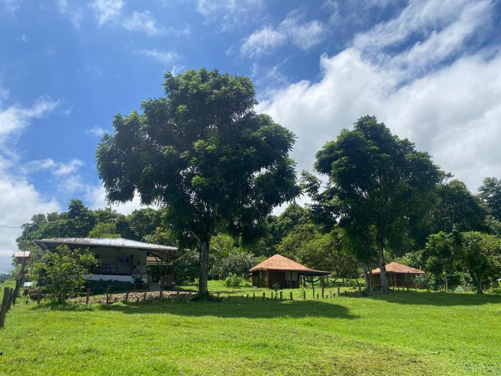 Galapagos Cabanas Eden Bellavista  Dış mekan fotoğraf